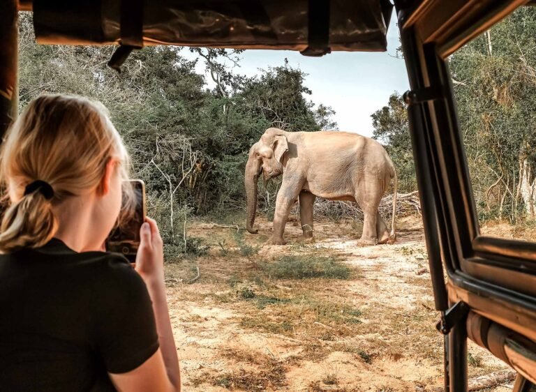 wildlife-safari-eco-travel-in-the-jungle-with-wild-2026-03-24-06-00-51-utc